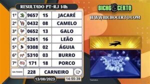 Jogo do Bicho: resultado desta segunda-feira (20) ainda não foi divulgado