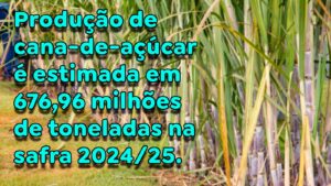 Safra de cana cai 5,1% e Conab projeta nova redução na oferta
