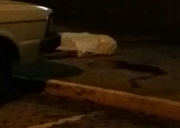 Foto: Roberta Cazetta