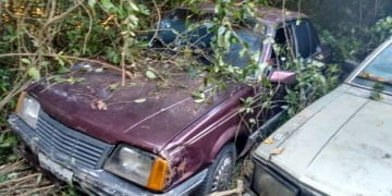 Foto: Valter Martins / Piracicaba em Alerta