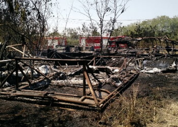 Foto: Wagner Romano / PIRANOT