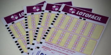 lotofácil - lotofacil