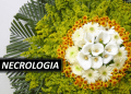 necrologia
