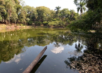 Antigo zoo de Limeira dará espaço a novo parque urbano