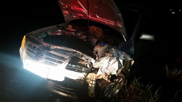 Foto: Wilson / Você no Pira