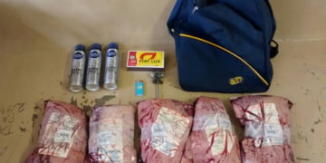 Foto: DivulgaÃ§Ã£o