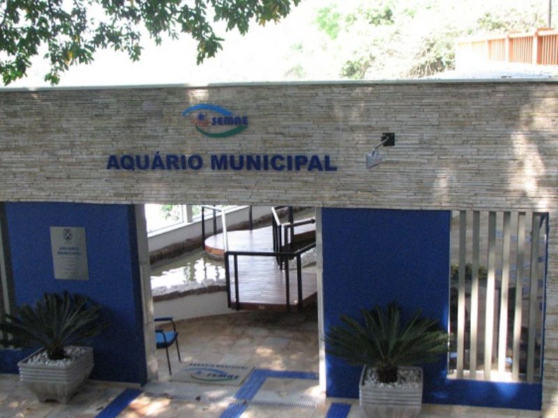 Quase dez mil pessoas visitaram aquário municipal em Maio