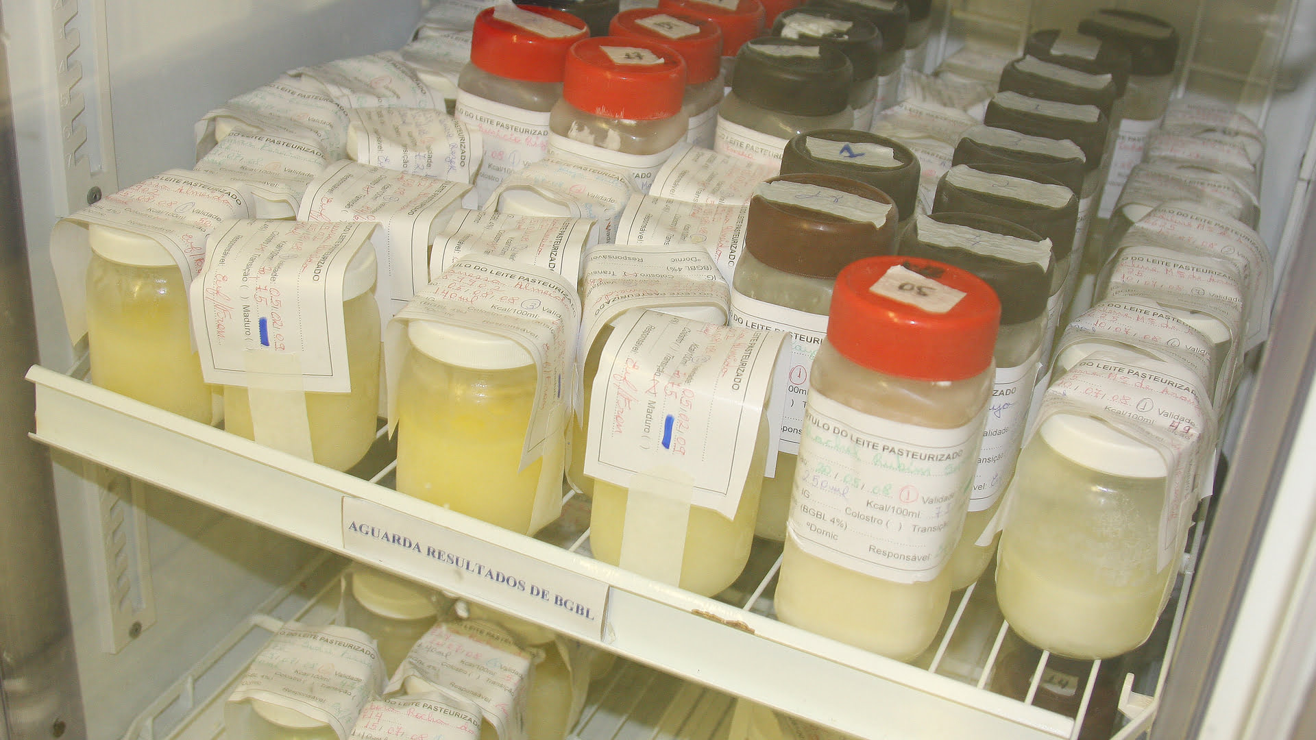 Banco de leite de Piracicaba precisa de doações