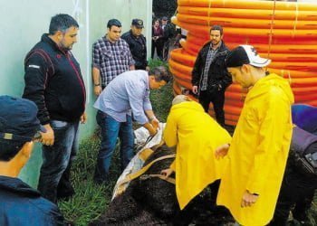 Foto: DivulgaÃ§Ã£o