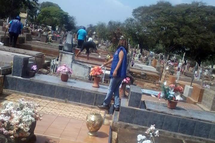 Ossos humanos são furtados de cemitério