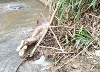 Em menos de 24 horas, dois cadáveres são encontrados em Sorocaba