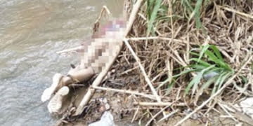 Em menos de 24 horas, dois cadáveres são encontrados em Sorocaba