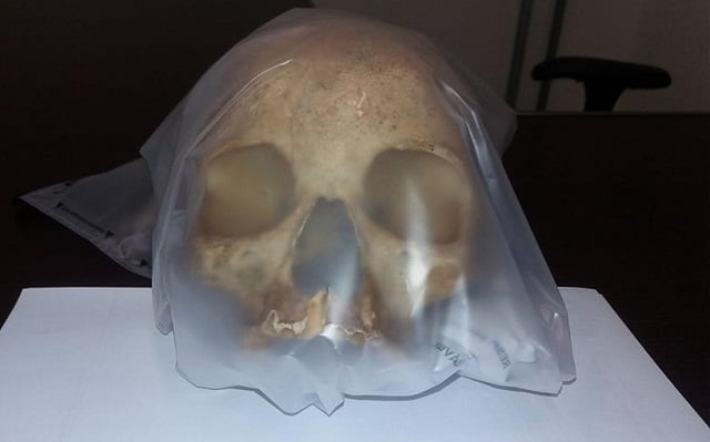 Foto: Valter Martins / PIRANOT