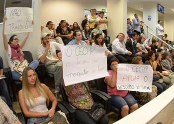 Foto: Fabrice Desmonts