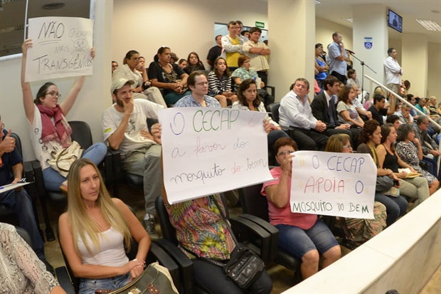 Foto: Fabrice Desmonts