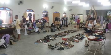 ONG Andarilhos de Patas realizará brechó para auxiliar tratamento de animais de rua