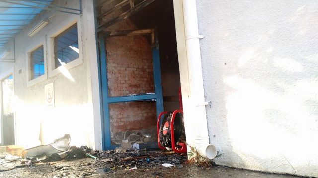 Foto: Wagner Romano / PIRANOT