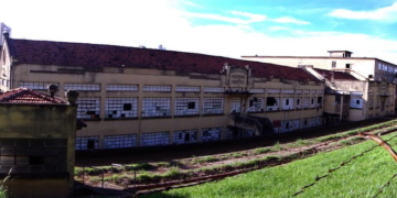 Foto: ReproduÃ§Ã£o / internet