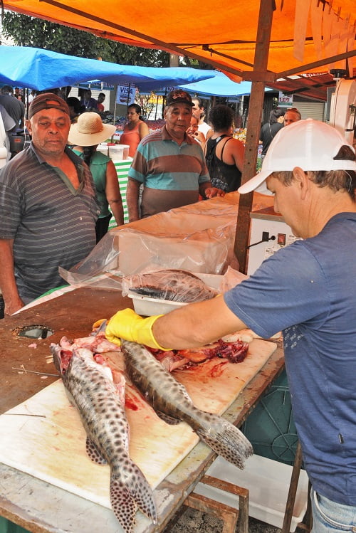 Pescados são vendidos com até 30% de desconto nos Varejões Municipais de Piracicaba