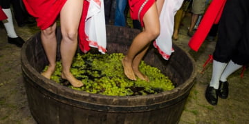 Pela primeira vez, Piracicaba terá “Feira Gaúcha” no Atlético