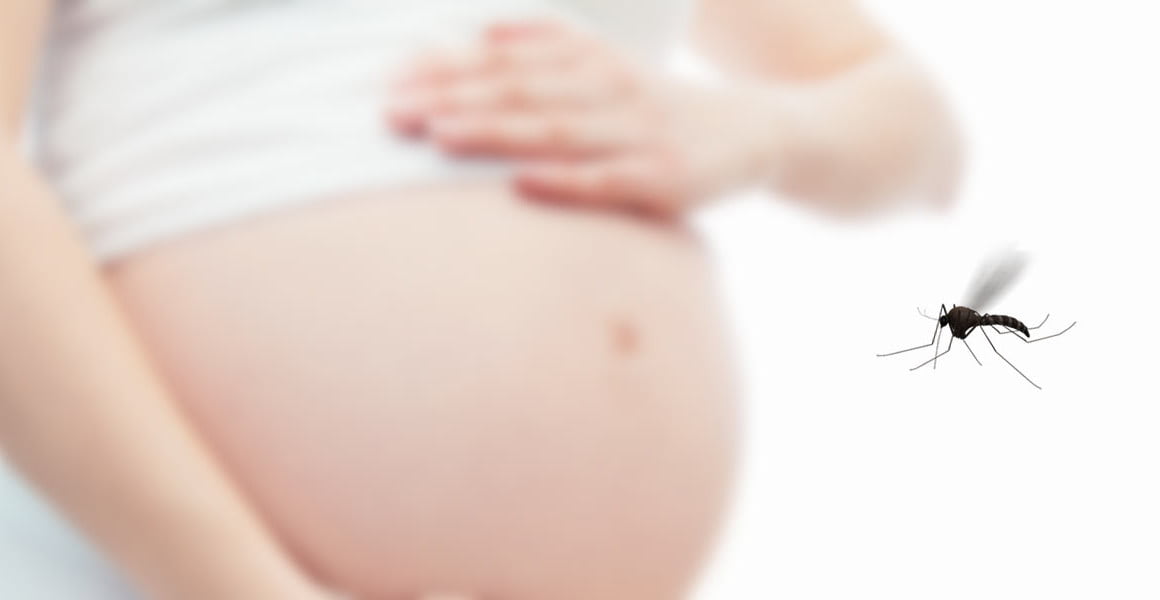 Terceiro caso de Zika-Vírus em grávida é registrado em Piracicaba