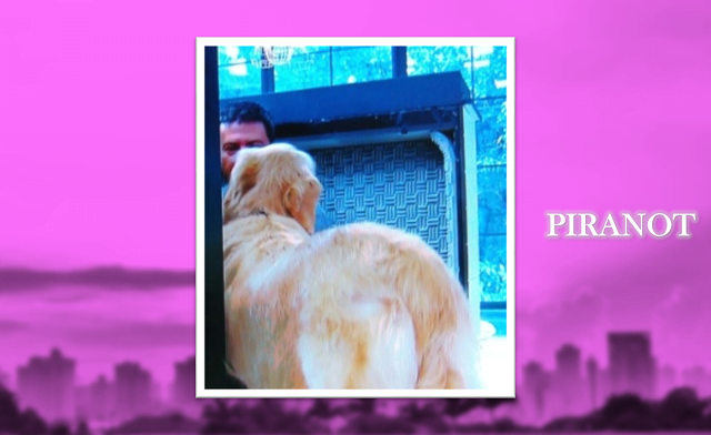 Rosto do interprete do Loro José vaza ao vivo no “Mais Você”