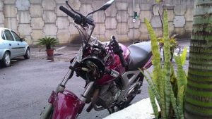 Foto: Wagner Romano / PIRANOT