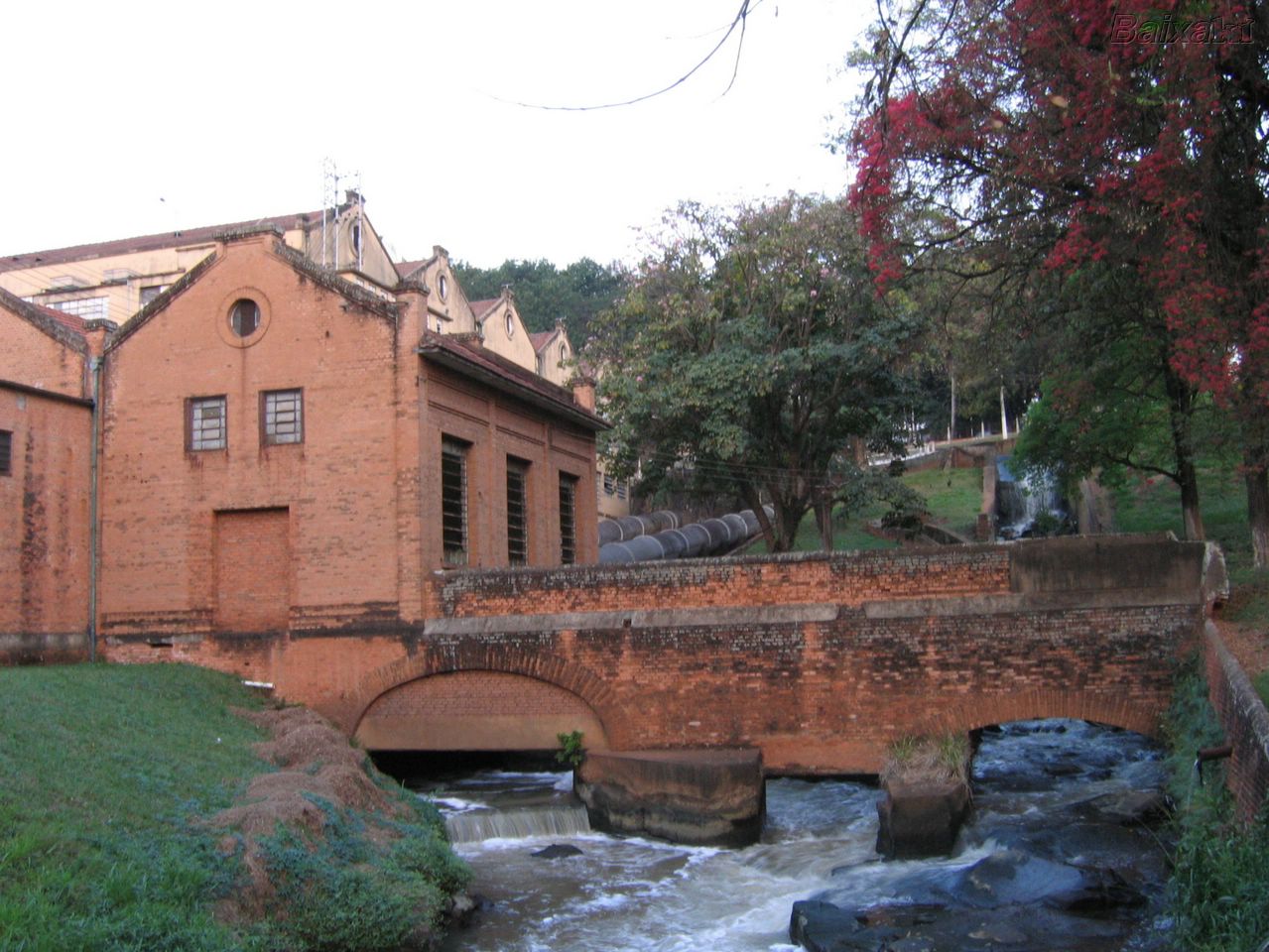 Foto: ReproduÃ§Ã£o / internet