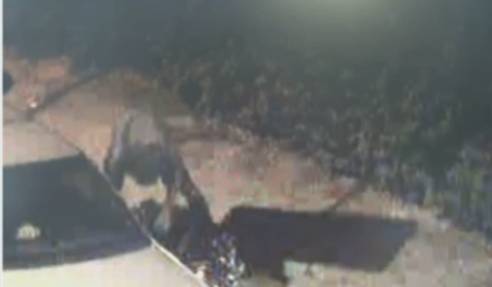 Homem tenta roubar carro, mas acaba preso em Piracicaba