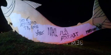 Foto: DivulgaÃ§Ã£o