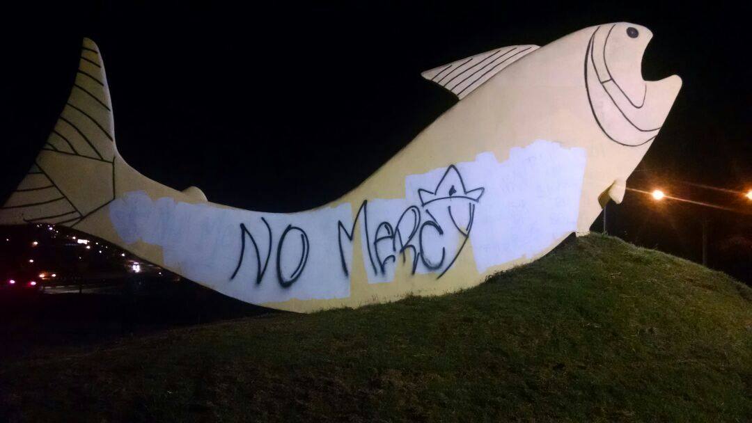 “Peixe de boas vindas” vira desgosto e revolta piracicabanos; o que fazer com ele?