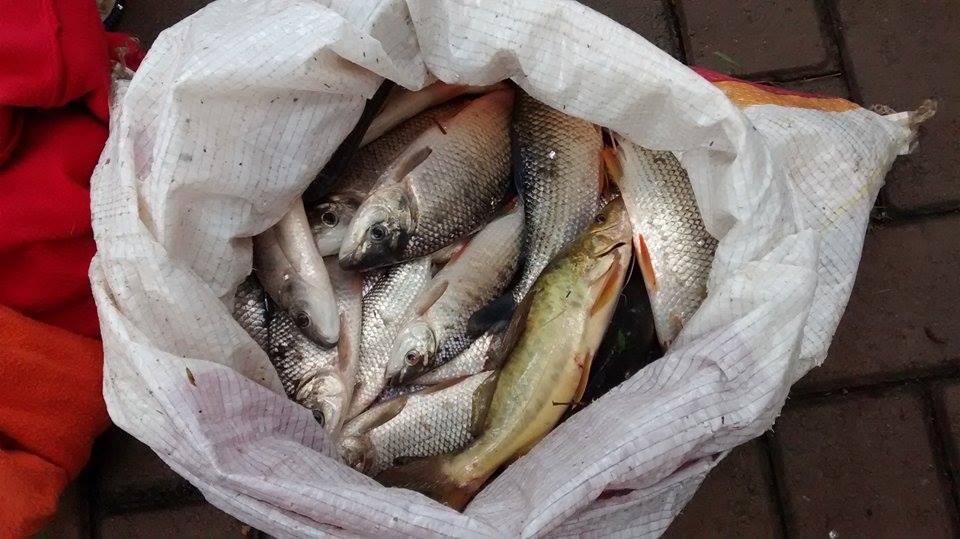 Criança e adolescentes são apreendidos por pesca ilegal na Rua do Porto
