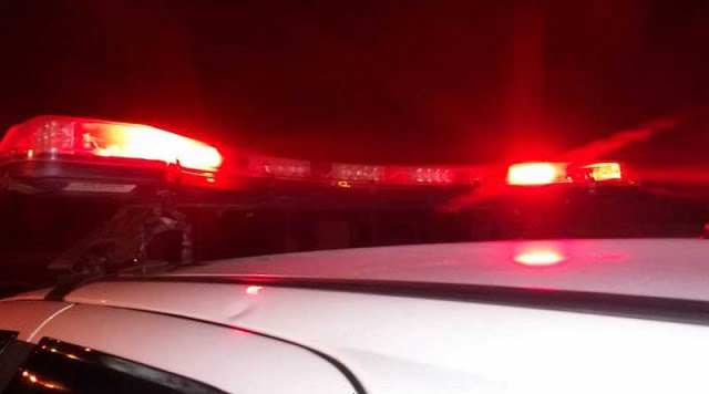 Animal invade a pista e causa capotamento de veículo, em Piracicaba (SP)