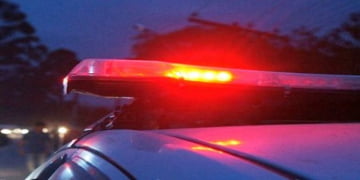 Dois carros atropelam boi em rodovia que liga São Pedro á Piracicaba