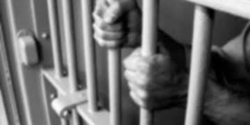 Foto: DivulgaÃ§Ã£o