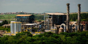 Foto: DivulgaÃ§Ã£o