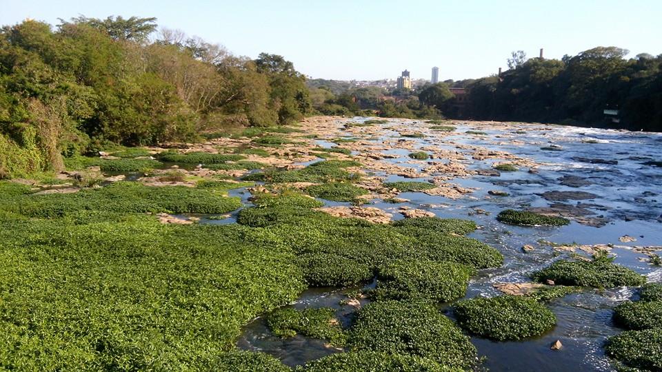 Projeto propõe alternativa para diblar a escassez de água no Rio Piracicaba