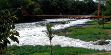 Com chuva na regiÃ£o pedras do Rio Piracicaba praticamente desaparecem, mas cheiro forte ainda Ã© problema - Foto: JÃºnior Cardoso