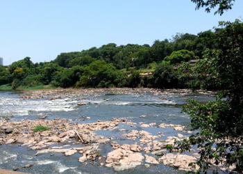 Foto: Junior Cardoso