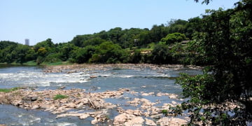 Foto: Junior Cardoso