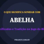 O que significa sonhar com Abelha? Significado e tradição popular