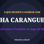 O que significa sonhar com Aranha Caranguejeira? Significado e tradição popular