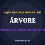 O que significa sonhar com Árvore? Significado e tradição popular
