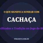 O que significa sonhar com Cachaça? Significado e tradição popular