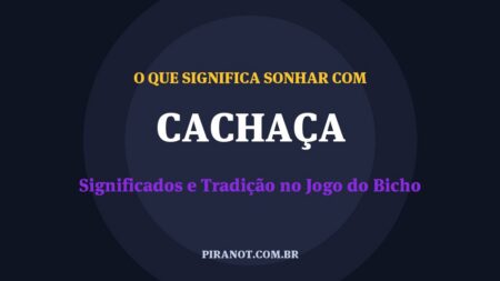 O que significa sonhar com Cachaça? Significado e tradição popular