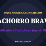 O que significa sonhar com Cachorro Bravo? Significado e tradição popular
