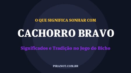O que significa sonhar com Cachorro Bravo? Significado e tradição popular