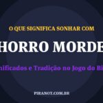 O que significa sonhar com Cachorro Mordendo? Significado e tradição popular