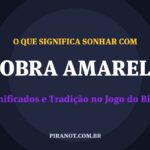 O que significa sonhar com Cobra Amarela? Significado e tradição popular