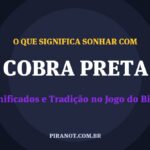 O que significa sonhar com Cobra Preta? Significado e tradição popular